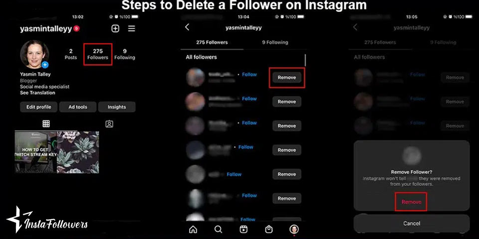 delete a Instagram follower