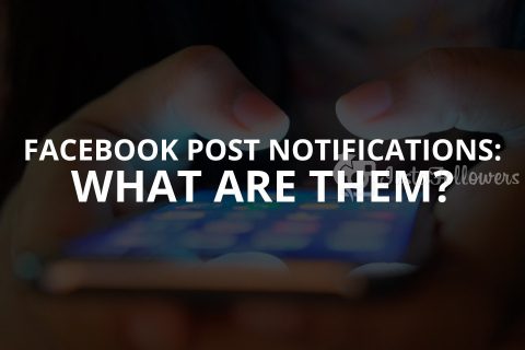 Facebook Post Notifications 2024