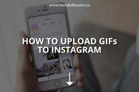 How to Upload GIFs to Instagram (2024)