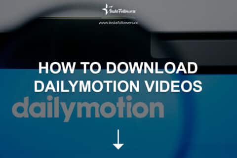 How to Download Dailymotion Videos (2024)