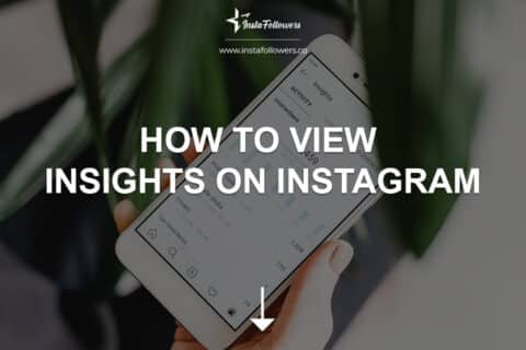 How to View Insights on Instagram in 2025? Ultimate Guide for Analytics