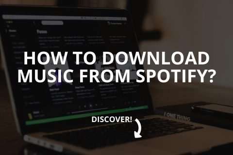 Download Music from Spotify (2024)