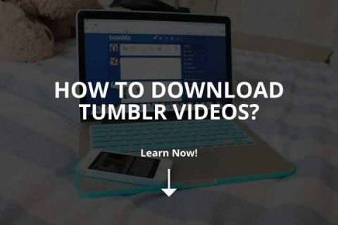 How to Download Tumblr Videos?