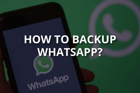 How to Backup WhatsApp (2024)