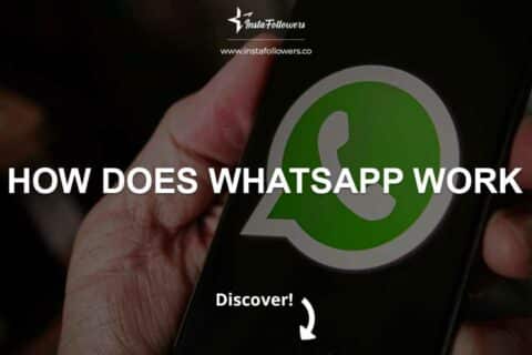 How Does WhatsApp Work (+Features)