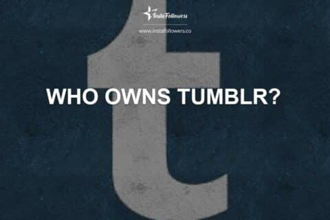 Who Owns Tumblr? (& Story Behind It)