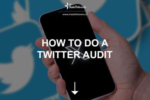 How to Do a Twitter Audit? (Guide & Tools)