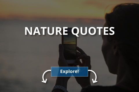 Best Nature Quotes (Refreshing & Beautiful)