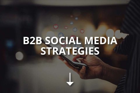 B2B Social Media Strategies (Tips & Ideas)