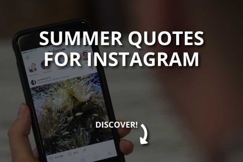 Best Summer Quotes for Instagram & Social Media