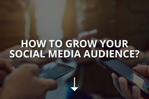 How to Grow Your Social Media Audience