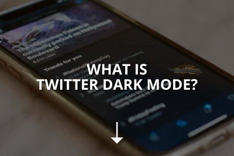 What Is Twitter Dark Mode? (Brief Guide)