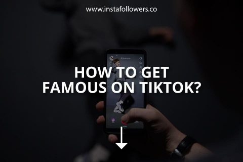 How to Get Famous on TikTok? (5 Main Ways)