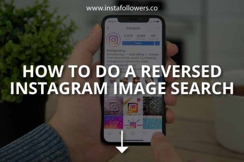 How to Do a Reversed Instagram Image Search