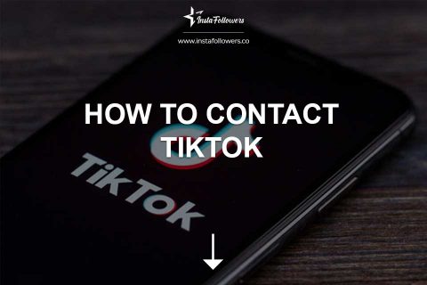 How to Contact TikTok