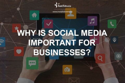 Why Is Social Media Important for Businesses?