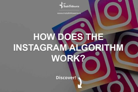 How Does the Instagram Algorithm Work?