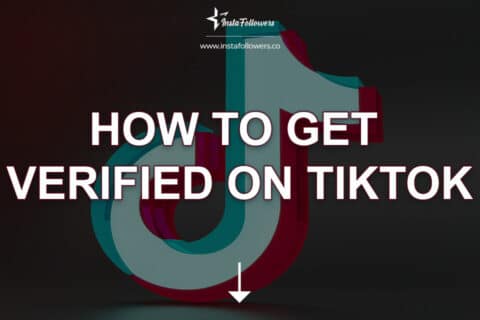 How to Get Verified on TikTok 2024