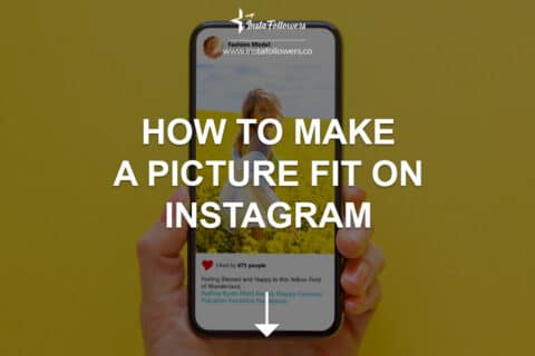 Instagram Photo Size: How to Make A Picture Fit