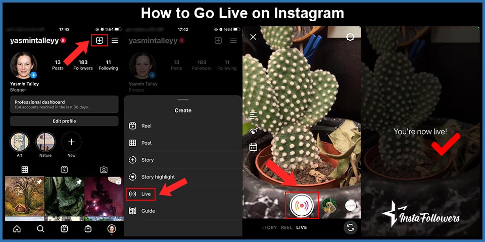 how to go live on instagram