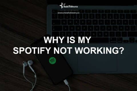 Why Is My Spotify Not Working?