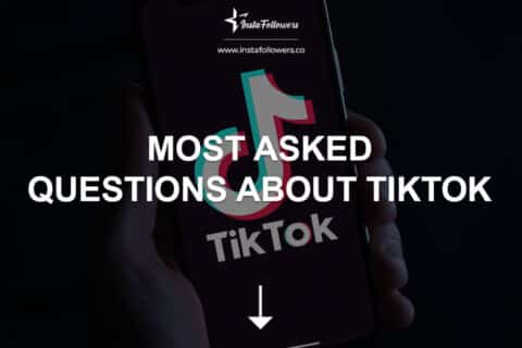 Most Asked Questions About TikTok 