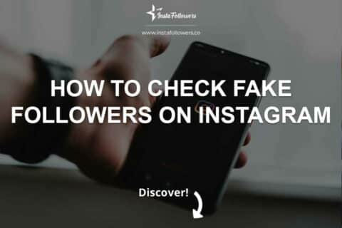 How to Check Fake Followers on Instagram