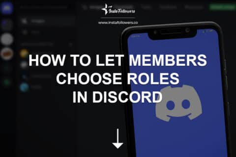 How to Let Members Choose Roles in Discord