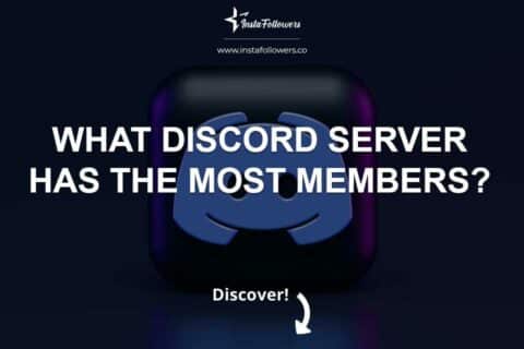 What Discord Server Has the Most Members? 