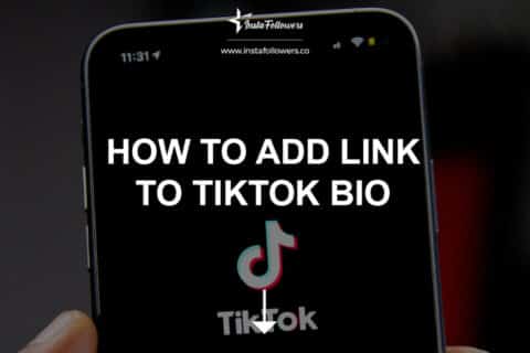 How to Add Link to TikTok Bio