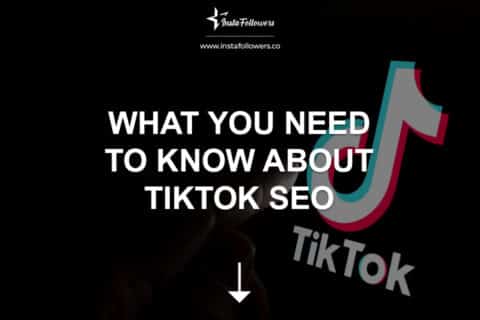 What You Need to Know About TikTok SEO 