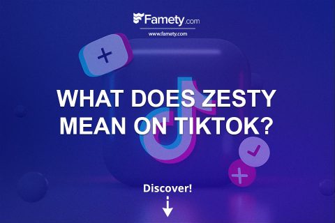 What Does Zesty Mean on TikTok