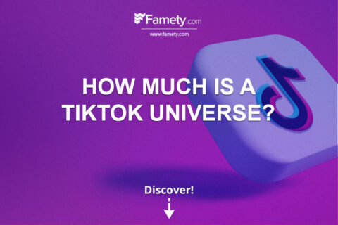 How Much is a TikTok Universe?