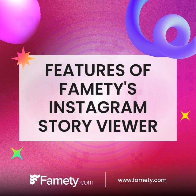 features of Famety's Instagram story viewer 