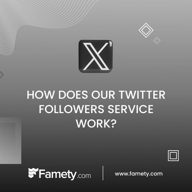 how does our twitter followers service work