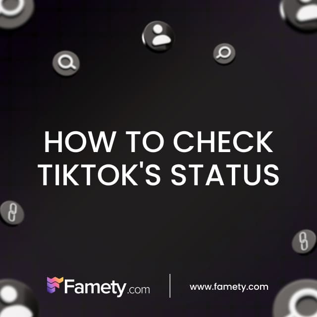 how to check tiktok's status