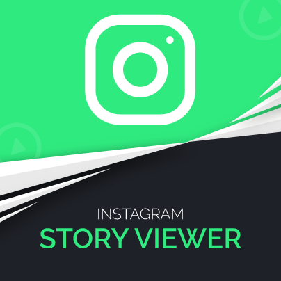 Instagram Story Viewer