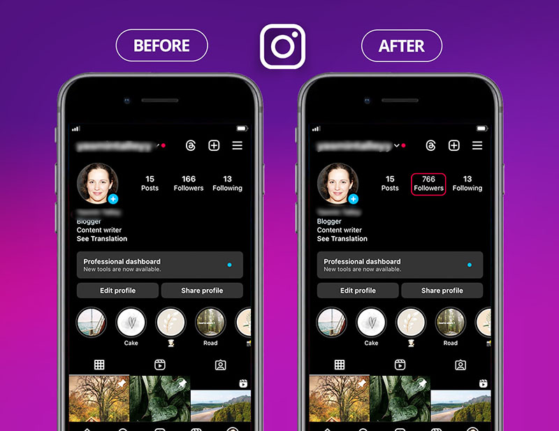 Instagram auto followers before and after