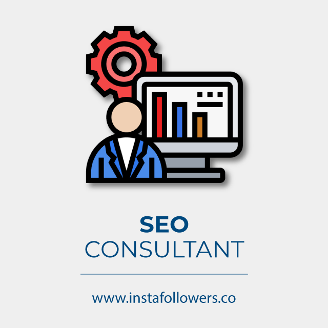 professional SEO consultant