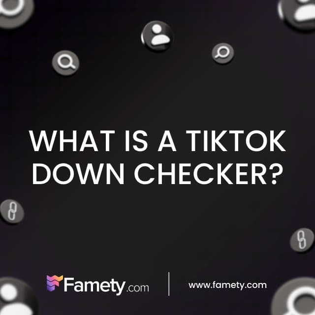 what is a tiktok down checker