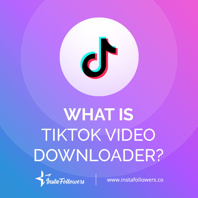 What Is TikTok Video Downloader?